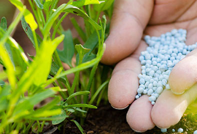 尊龙凯时·(中国游)官方网站